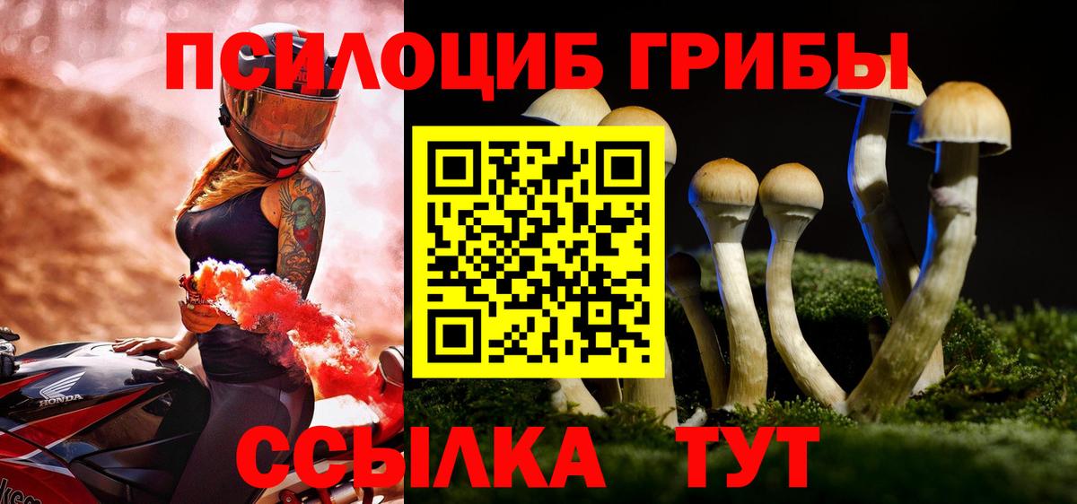 Псилоцибиновые грибы GOLDEN TEACHER Артём